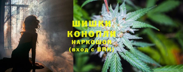ALPHA PVP Белокуриха